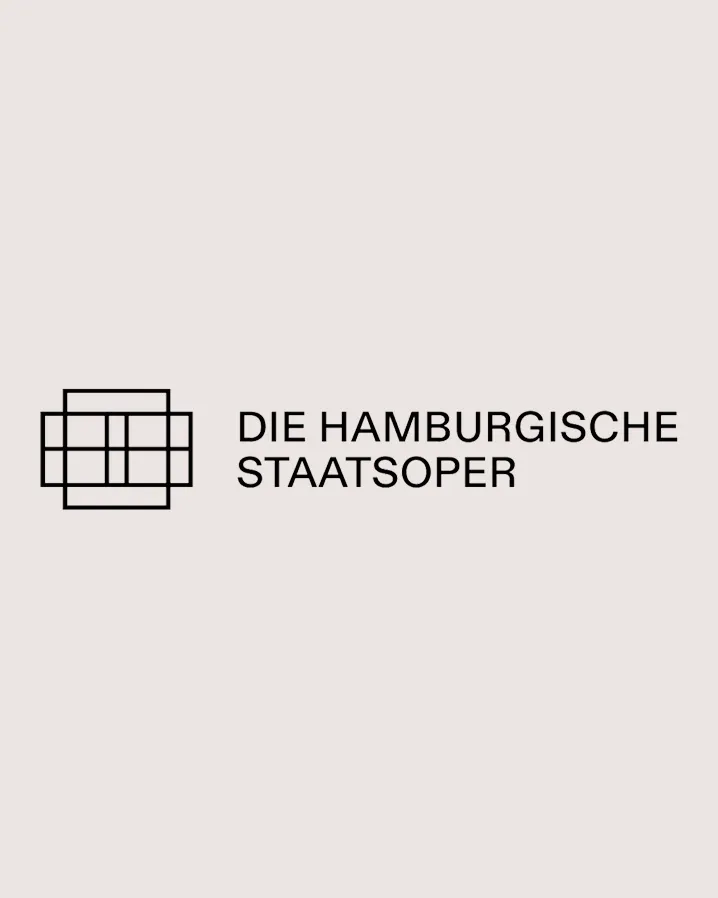 Logo: HSO