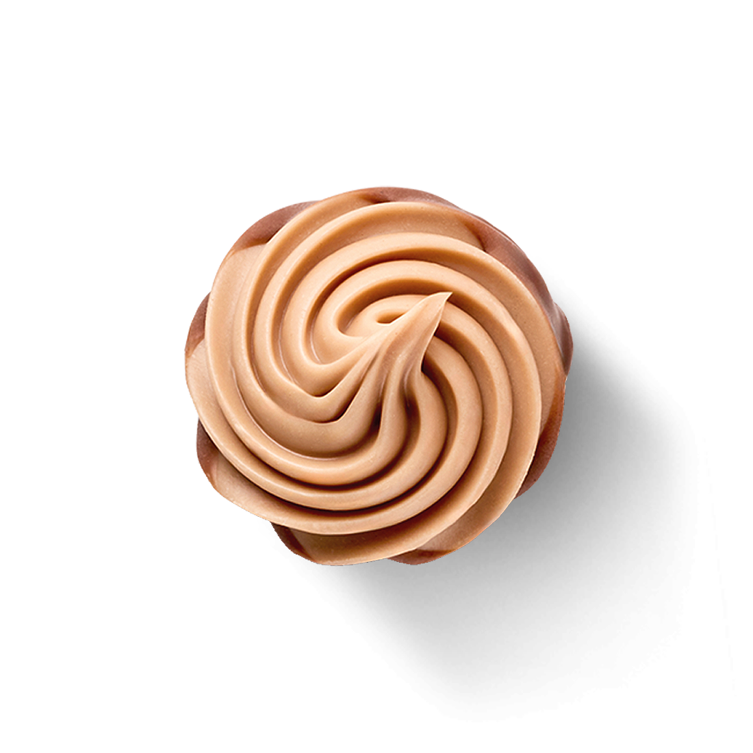 Produktbild: Florenzer Rose  