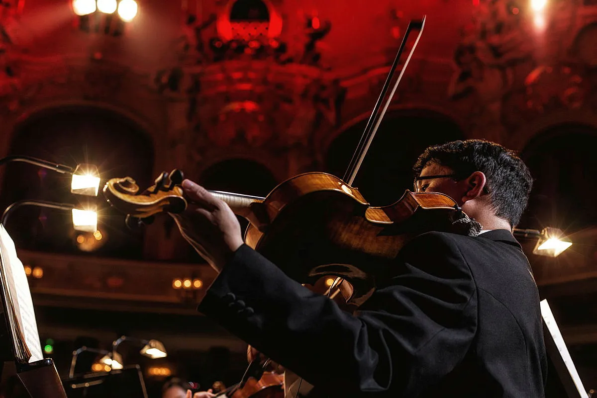 Stimmungsbild: Geigenspieler im Orchestergraben der Komischen Oper Berlin Stimmungsbild: Geigenspieler im Orchestergraben der Komischen Oper Berlin